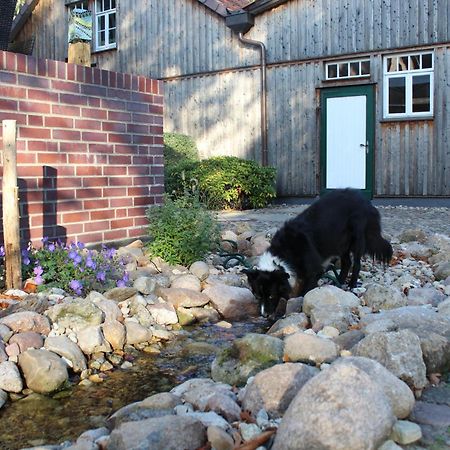 Landgasthof Wildwasser Wolthausen Exterior foto